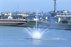競泳用プール